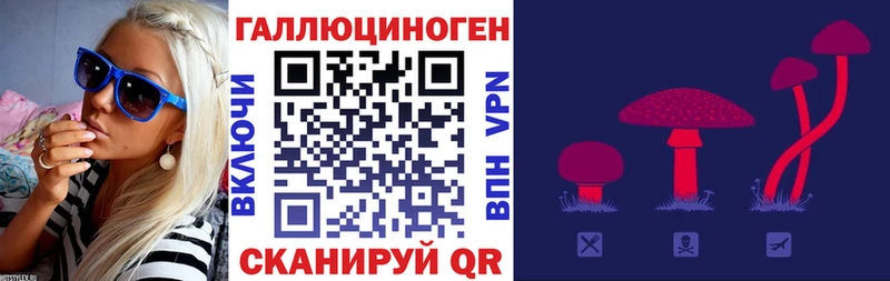 Галлюциногенные грибы Magic Shrooms  Купить где  Ейск 